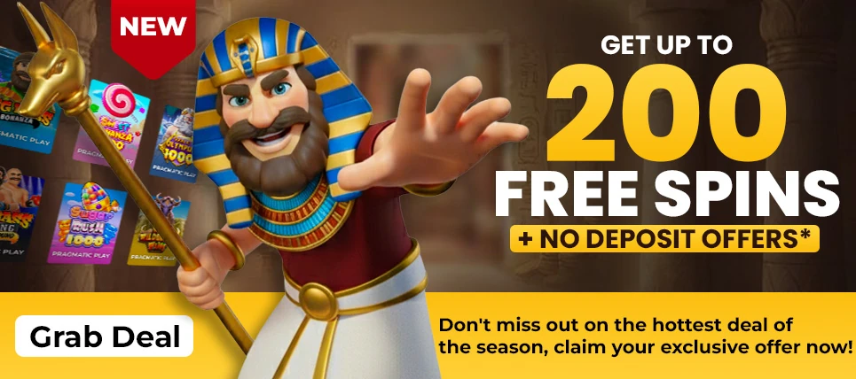 Custard Special Offer